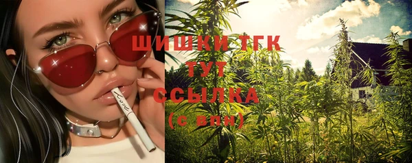 МДПВ Алексин