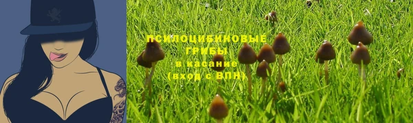 кристаллы Алексеевка